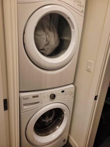 Furnished 1 Bedroom In East Village By Signature Suites Ltd 卡加利 外观 照片