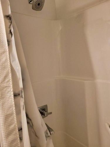 Furnished 1 Bedroom In East Village By Signature Suites Ltd 卡加利 外观 照片